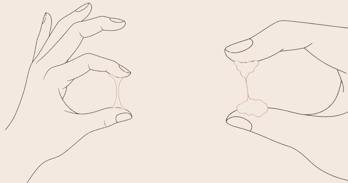 GLAIRE CERVICALE SYMPTOTHERMIE